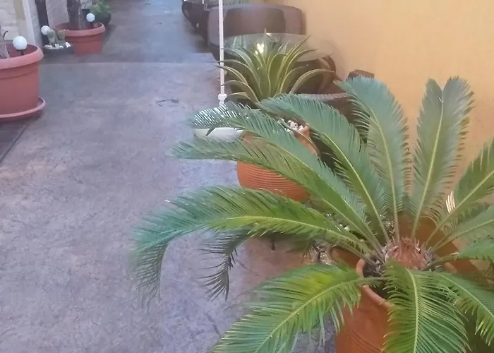 Casa de hóspedes Time Out 4*