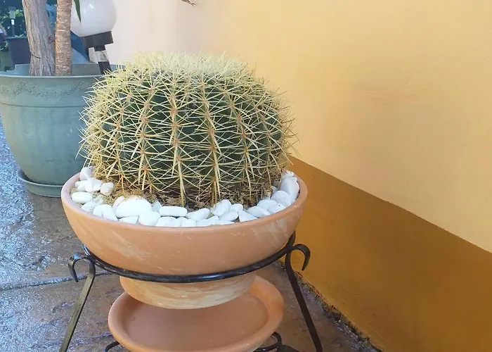 Time Out Casa de hóspedes 4*